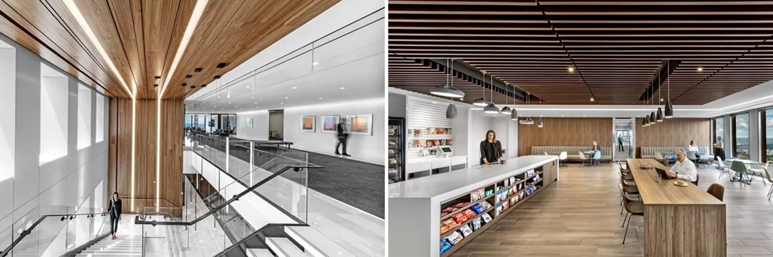 �칫����װ�����